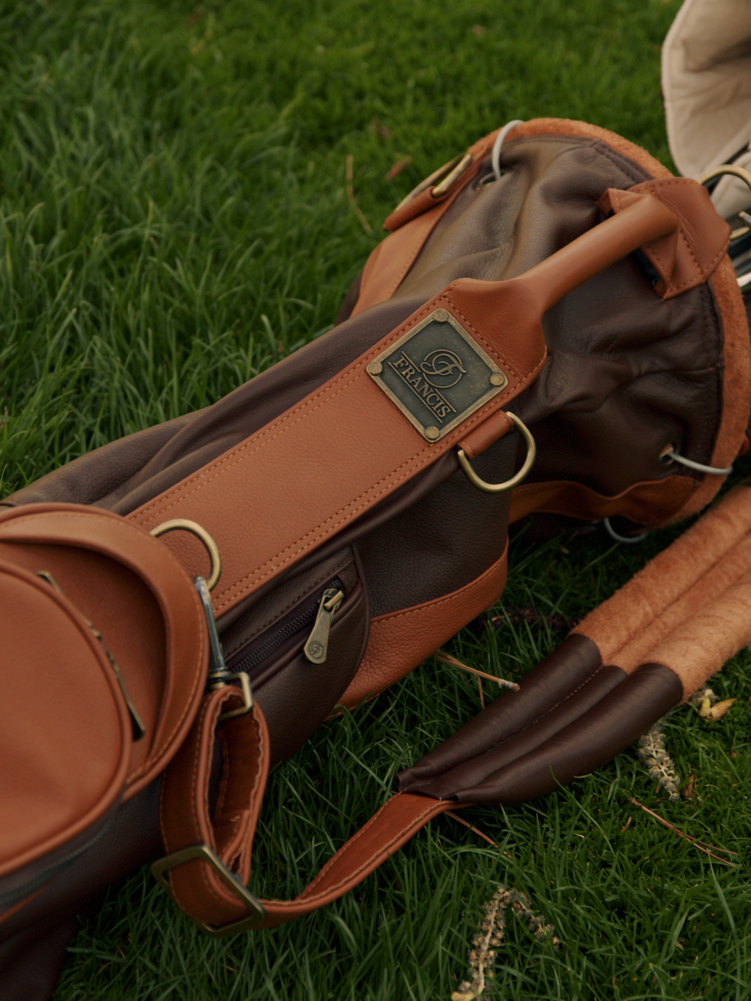 Brown Leather Carry Bag