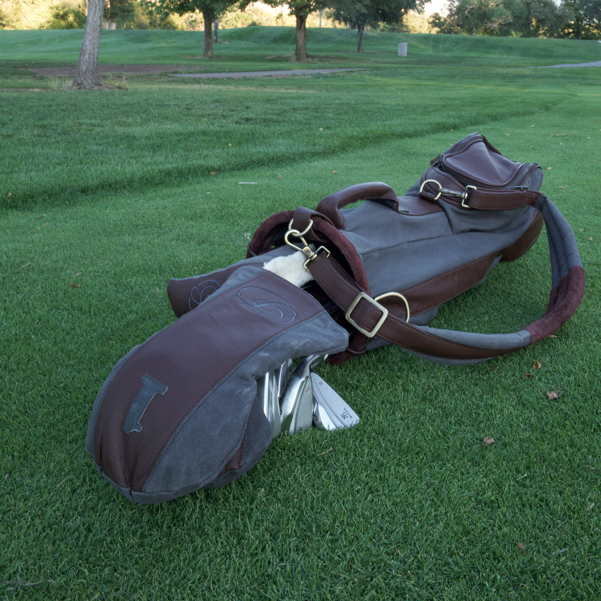 Gray Canvas Carry Bag